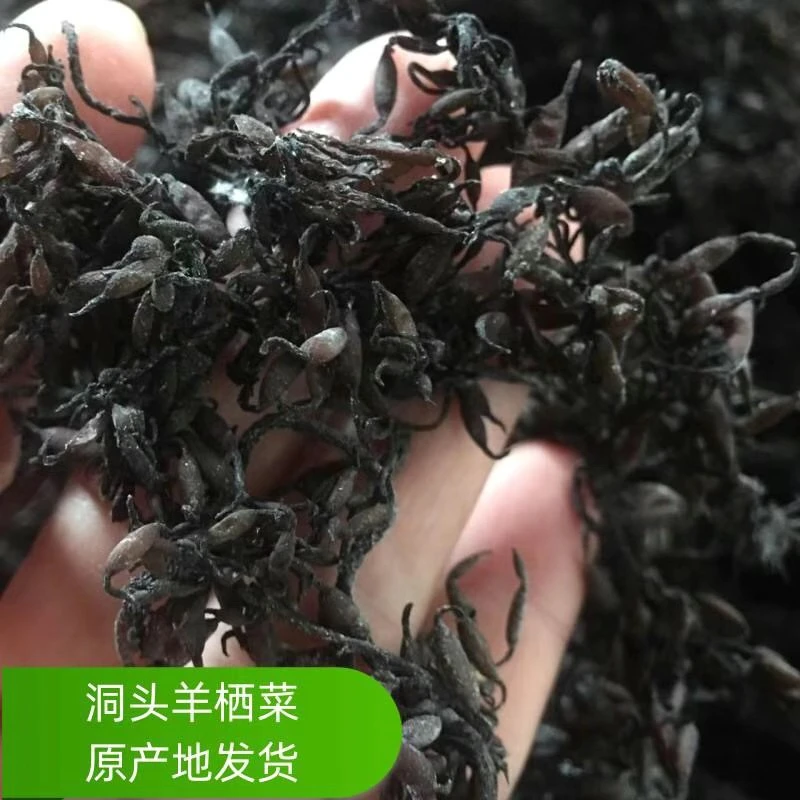 洞头特产干的羊栖菜海藻500克