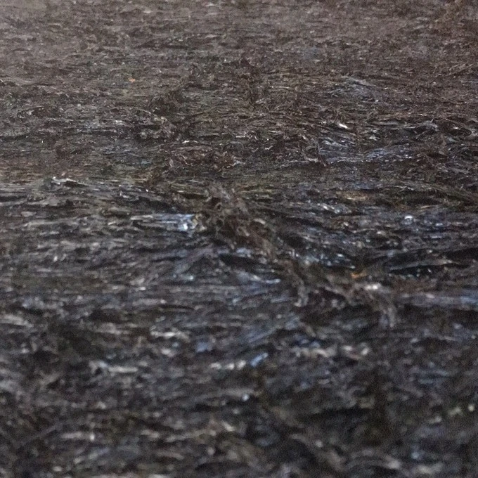 温州洞头方形头水紫菜年250克