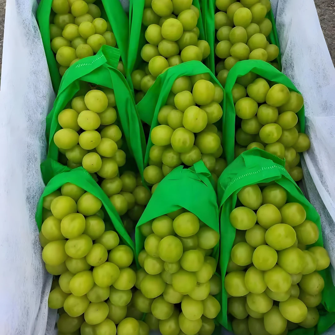 【同城配送】阳光玫瑰1串（1.8斤左右）