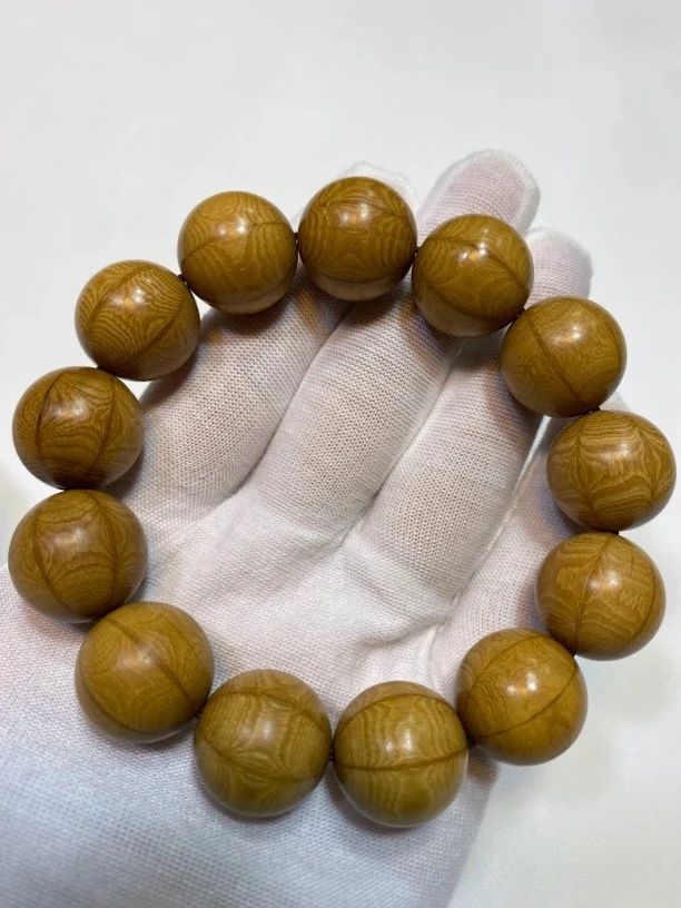 五台山六道木1.8尺寸单圈