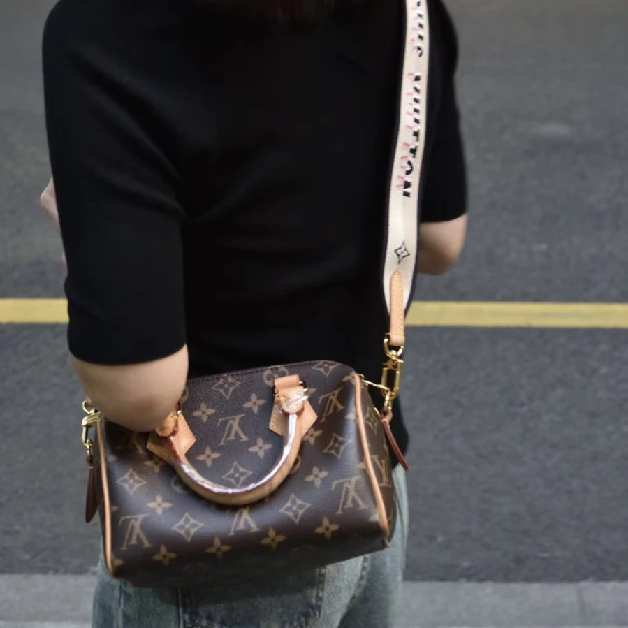 95新 LouisVuitton/路易威登 LV20SP枕头包芯片971037