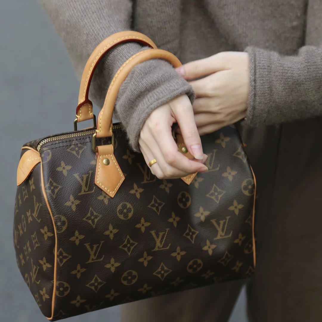 95新 LouisVuitton/路易威登 LV 老花 25 手提972411
