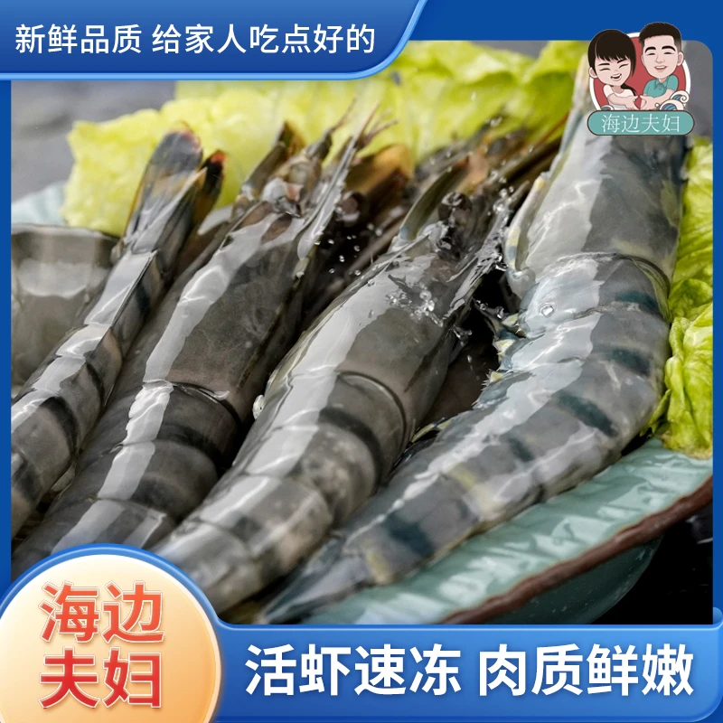 鲜活速冻 无冰衣黑虎虾16-20规格 3斤/盒 30只左右+1海盐