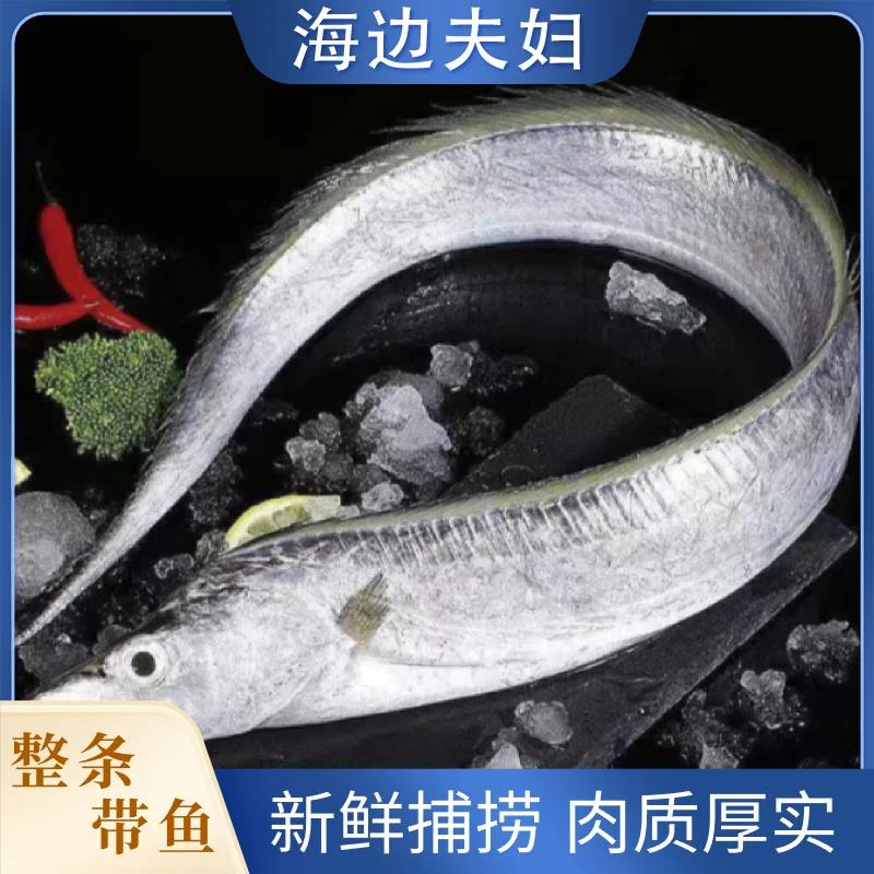【海边夫妇】新鲜捕捞 肉质厚实冷冻整条带鱼 100-200克/条*15条