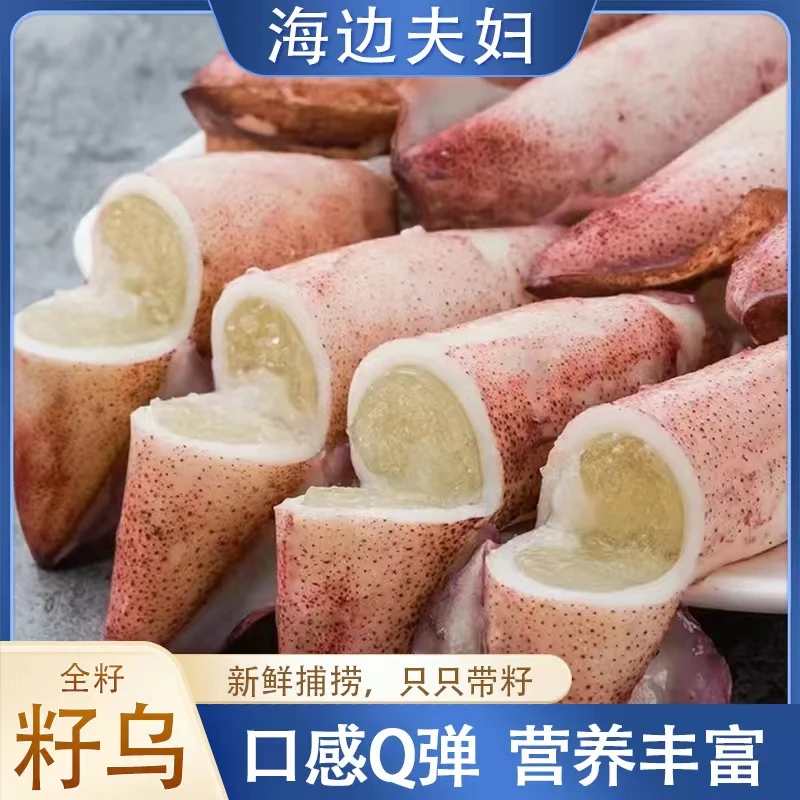 【海边夫妇】连云港发货 鲜美单冻全籽籽乌海兔 32只/盒*2盒 共64只