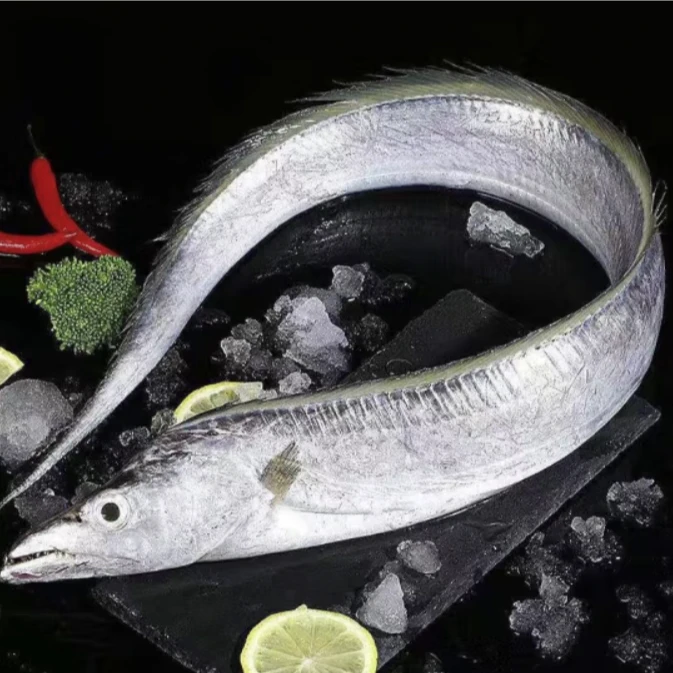 新鲜捕捞肉质厚实整条吕四油带鱼 4两左右/条  4.8-5斤（12条左右）