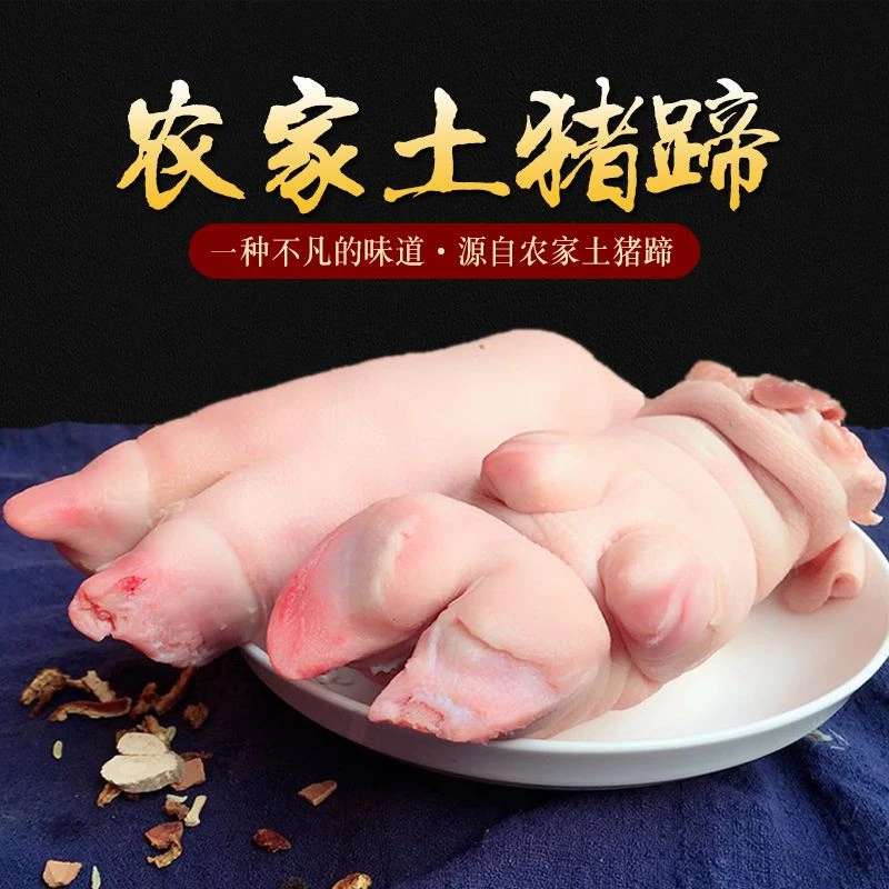 【高高推荐】猪蹄整只带筋猪蹄 连云港发货 生鲜食材 200g/只*10只