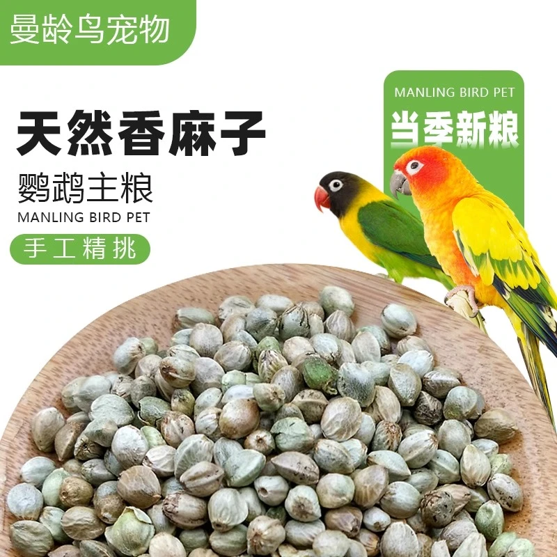 麻子鸟粮纸壳纸皮火麻籽鹦鹉粮饲料小颗粒奖励零食火麻仁鸽粮鸟食