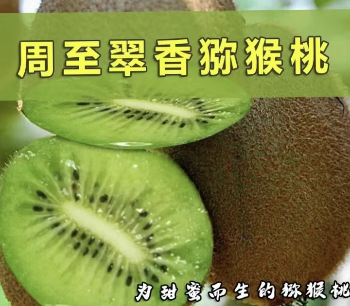 【陕西周至】翠香猕猴桃现摘现发（20枚大果和30枚小果）