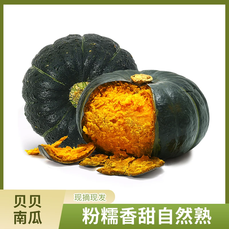 正宗贝贝南瓜板栗味小南瓜粉糯香甜孕妇宝宝辅食营养新鲜老南瓜
