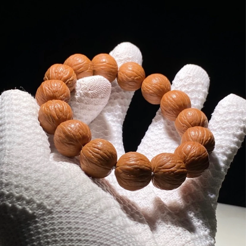 聚宝盆   猴头四大名核之首