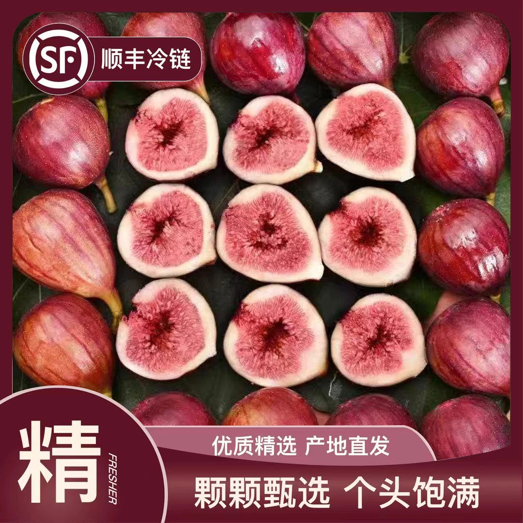 【顺丰冷链】红皮新鲜无花果现摘现发孕妇应季水果非青皮无花果干