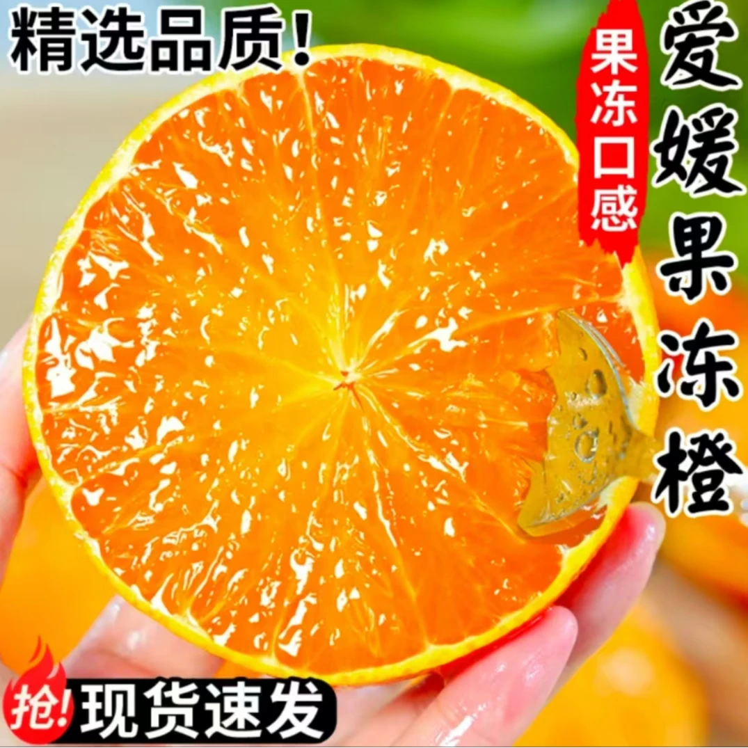 【当季特惠】爱媛38号果冻橙子现摘四川手剥当季水果薄皮甜柑橘桔子