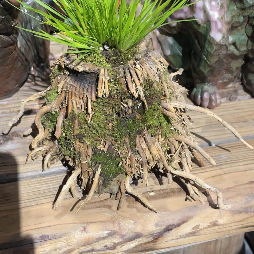 【闪购商品】陶瓷摆件后*