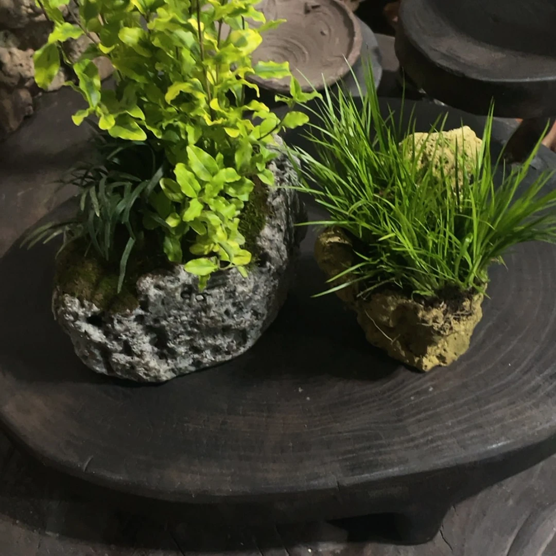 【闪购商品】陶瓷摆件沐**作