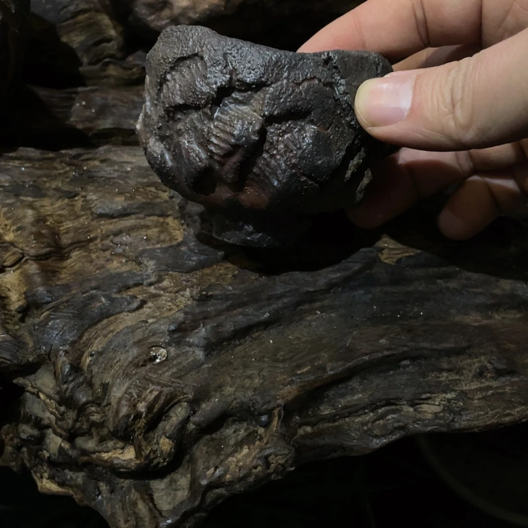 【闪购商品】陶瓷杯剁*哥