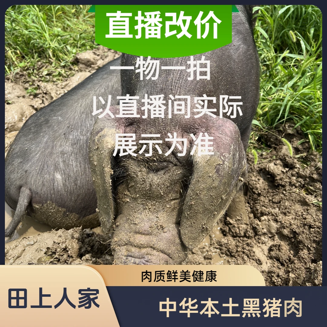 直播现称/（以直播为准）原生态散养中华黑土猪肉杂粮喂养顺丰包邮
