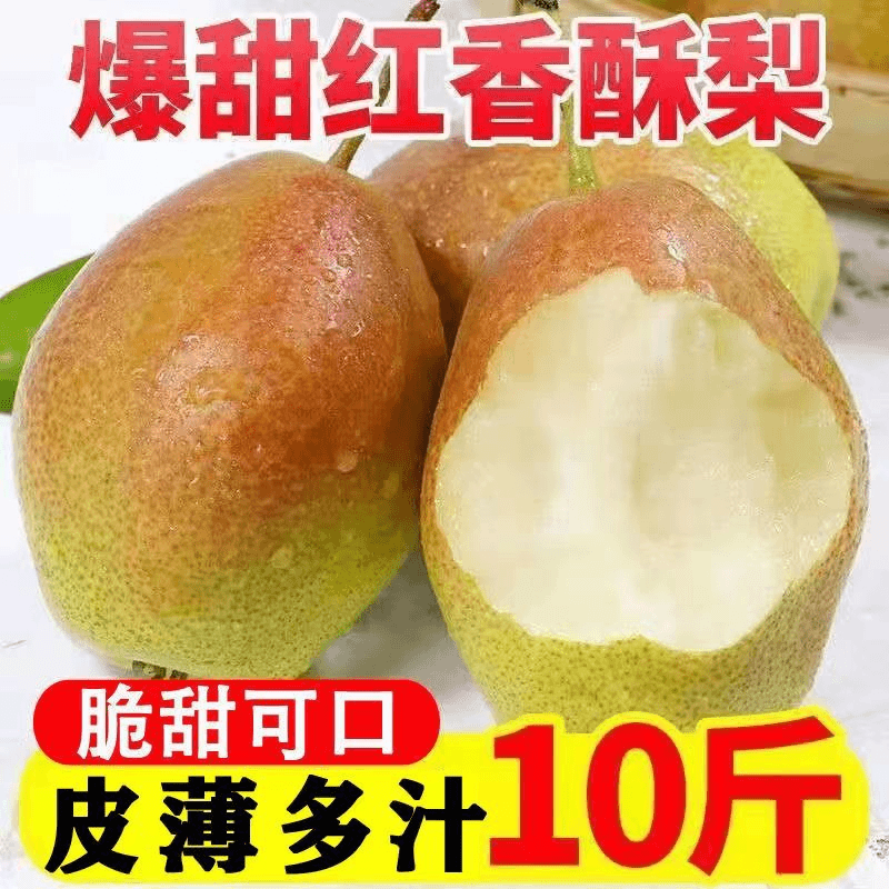 山西运城红香酥梨源自新疆香梨新鲜梨子脆甜皮薄酥梨应季水果批发