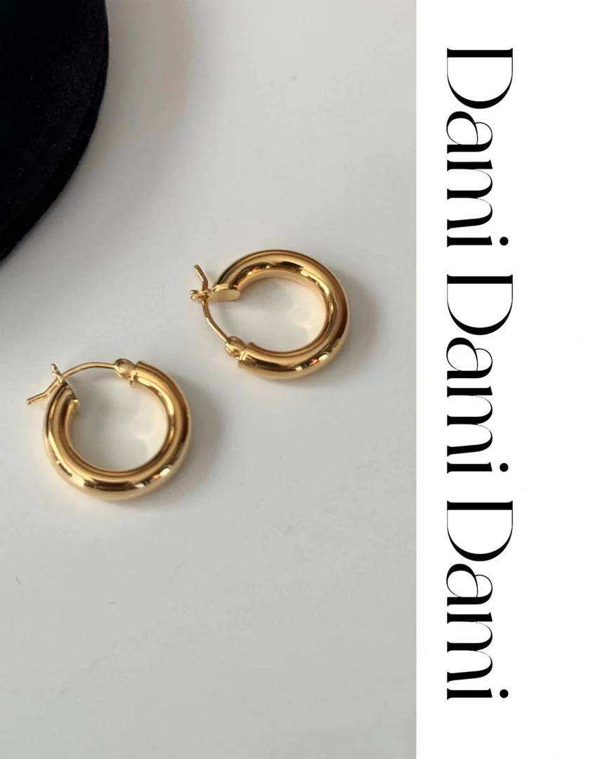 合金无非金属耳饰 Dami 素圈小众气质款2024新款轻奢中设计感耳饰
