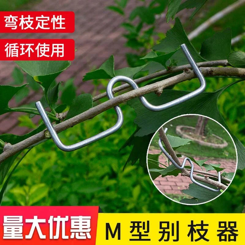 【10个装】果树拉枝定型器花卉月季压弯开角苹果樱桃树sm形定型弯