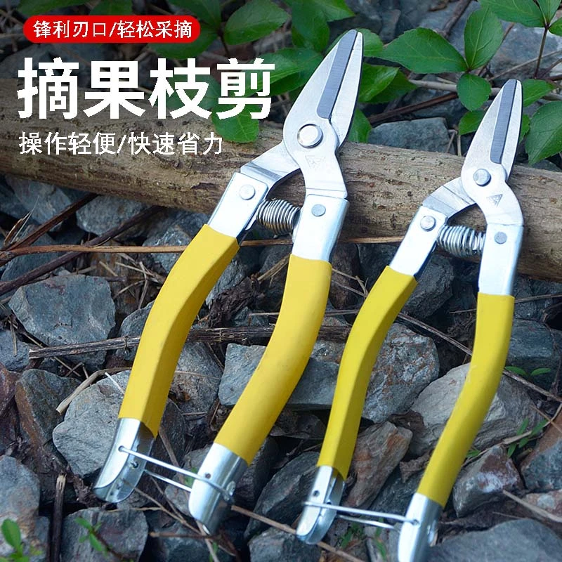 不锈钢圆头果剪多功能蔬果采摘及园林修枝实用工具