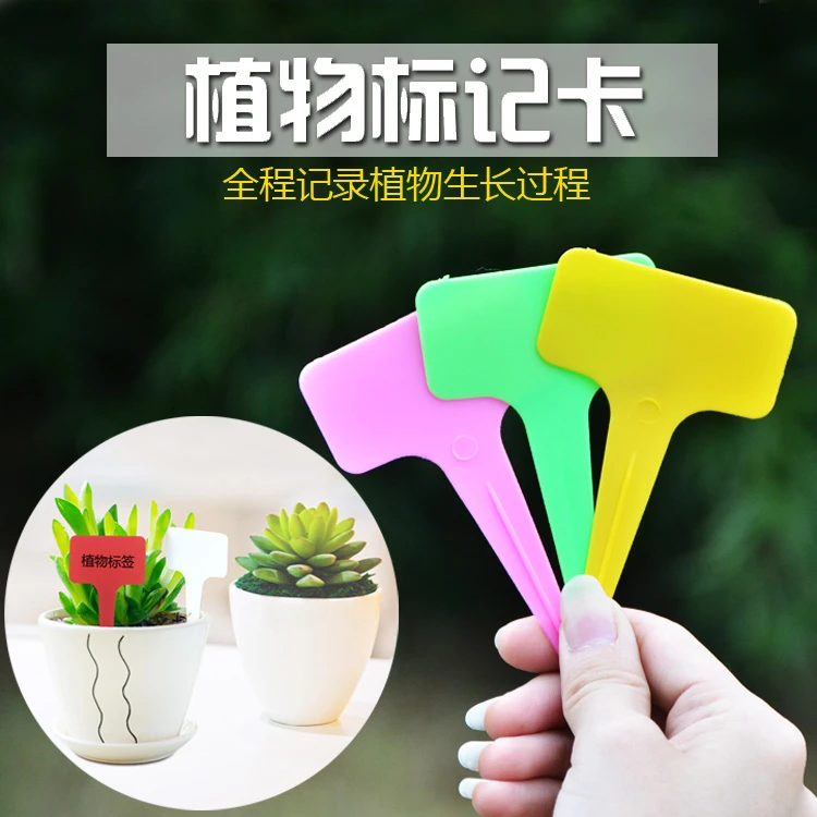 园艺多肉标签牌园艺植物花名花盆塑料标签防水小插牌多肉盆栽标签