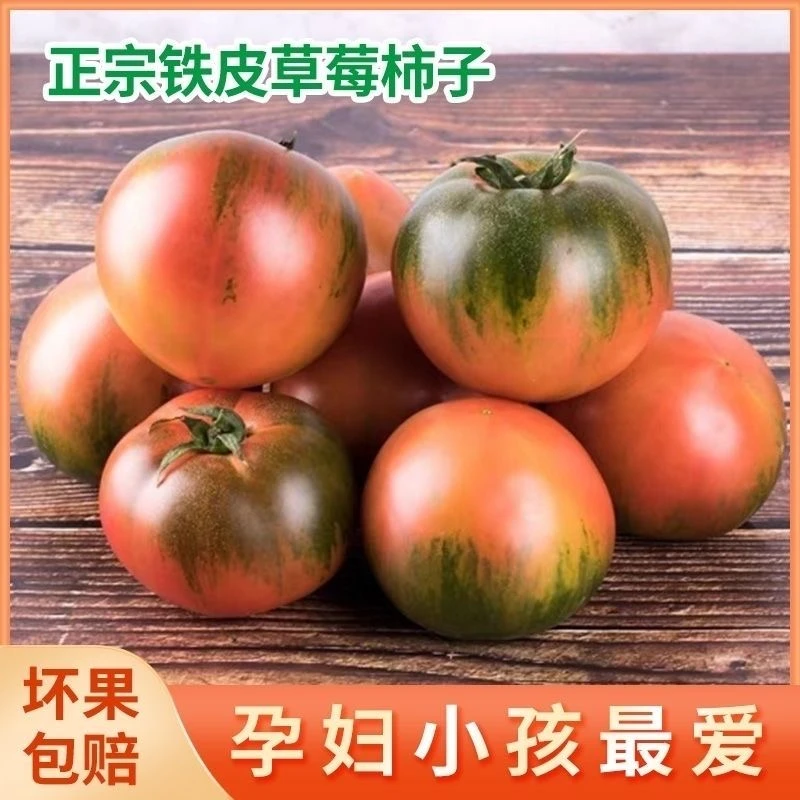 农村自家种植新鲜铁柿子草莓西红柿酸甜可口现摘现发好吃美味