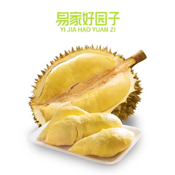 【易家好园子】金枕带核冷冻榴莲肉A级 极速速冻顺丰发货900g*1袋