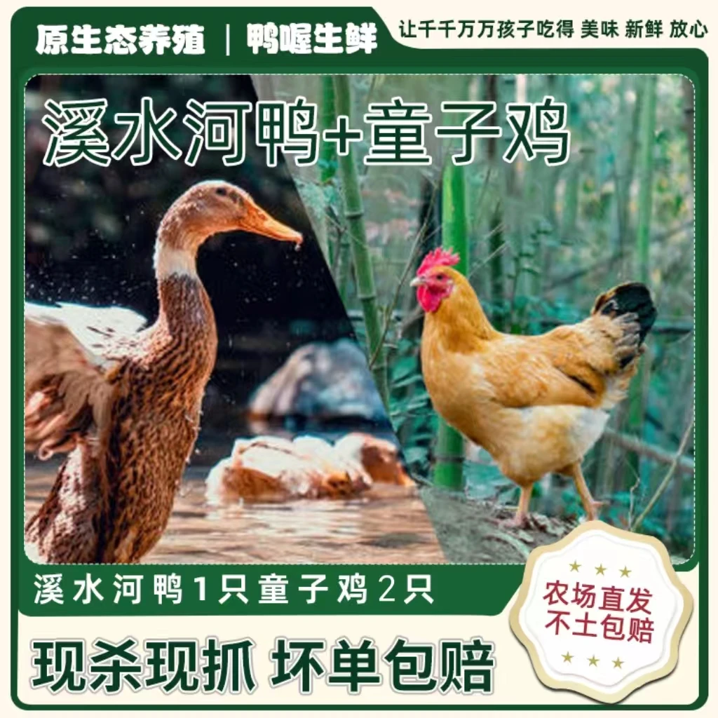 鸭喔【鸡鸭组合】2只老鸭+1只童子鸡皖南农场本土散养老鸭童子鸡