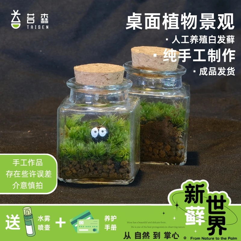 （新人优惠）迷你桌面生态苔藓微景观摆件绿植（带小黑）手工制作