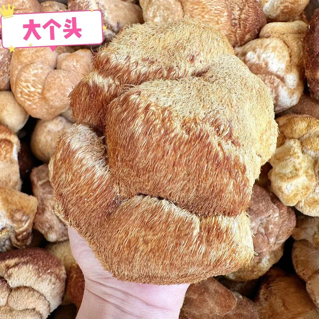 精选东北猴头菇