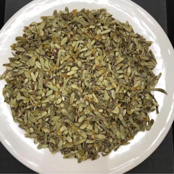 正宗铁皮石角斗片切片