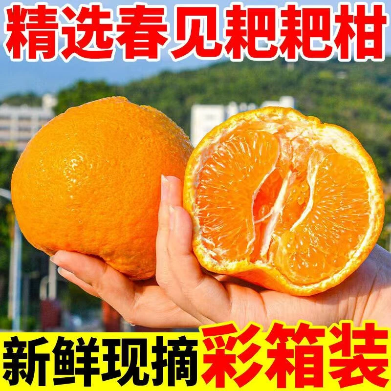 【春见耙耙柑】正宗四川眉山耙耙柑带箱5斤大果75-85mm【9-12个】