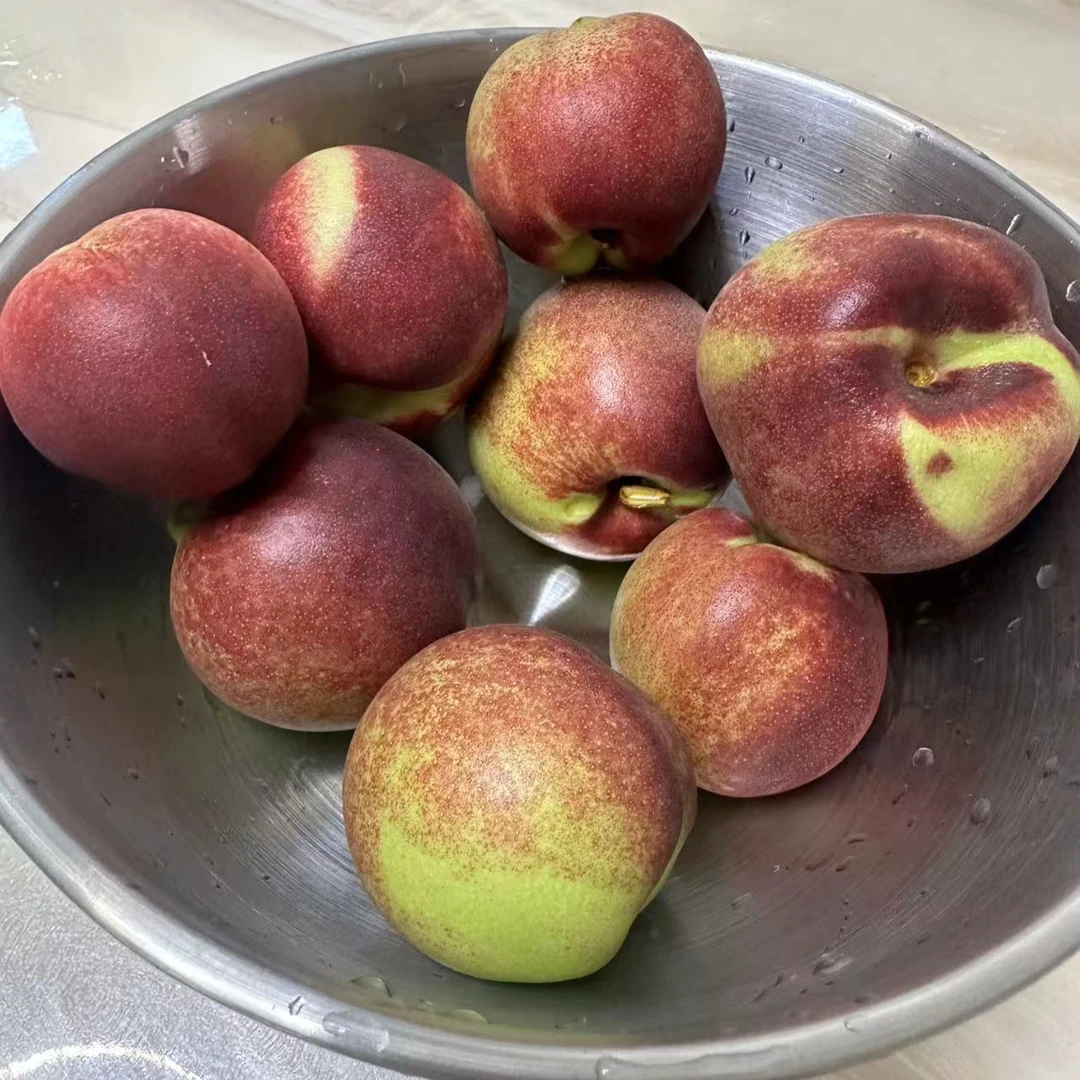 高山种植山地秋天蜜桃