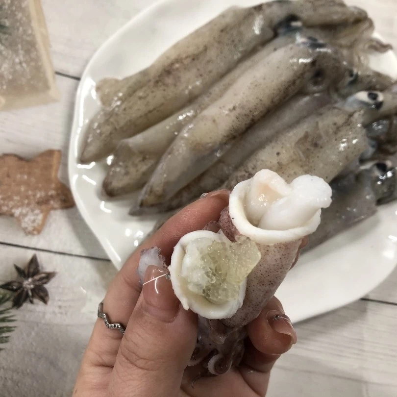 鲜冻单冻笔管鱼海兔籽乌（公母混）1斤一盒发3盒