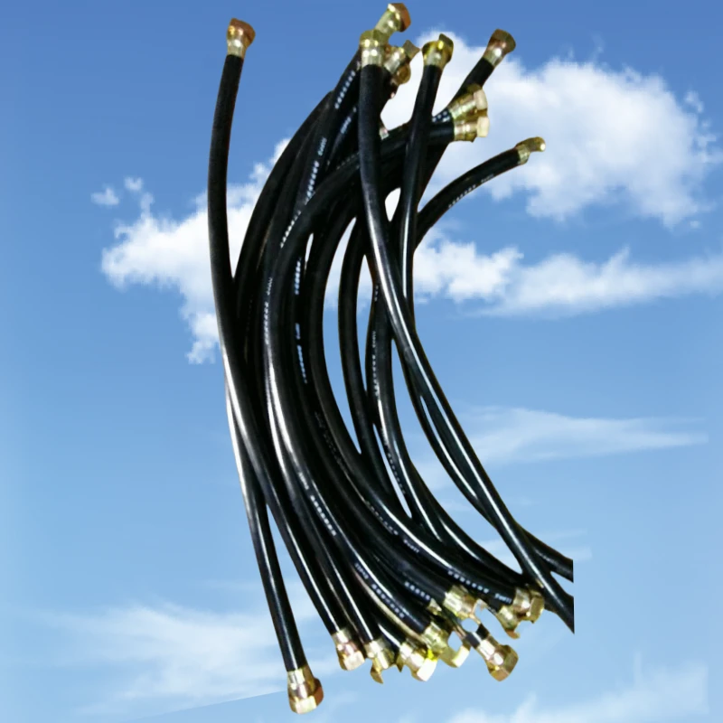 BNG防爆橡胶软管DN20*1000