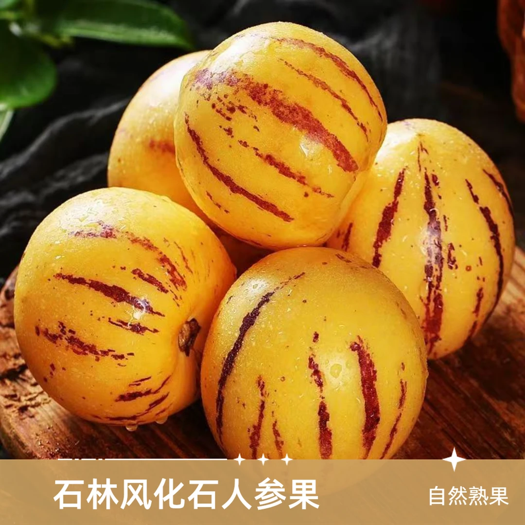 石林风化石人参果树上自然熟 带箱5斤