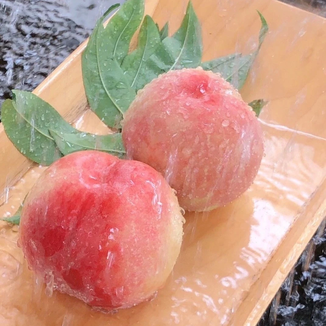 【中通】山西运城新鲜脆蜜桃应季水果香甜饱满脆爽清香多汁爽口