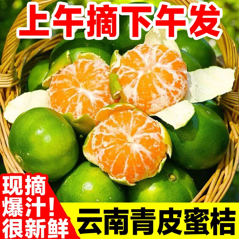 【超低价】云南蜜桔现摘新鲜橘子青皮桔子无籽蜜橘1/3/5/9斤包邮