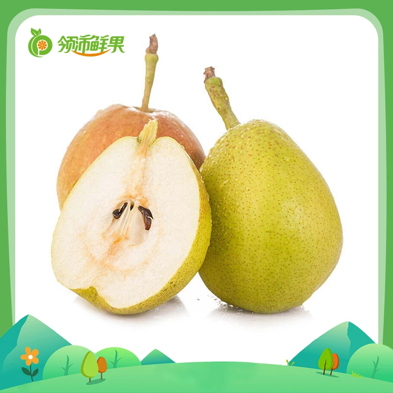 库尔勒香梨特级约480~500g/盒