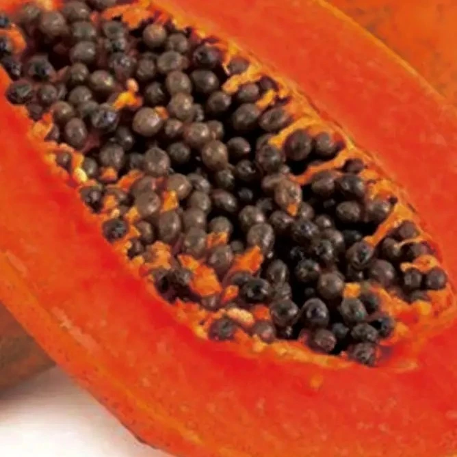 正宗海南红心树熟大木瓜，可切块。特大果。一个约1.6斤