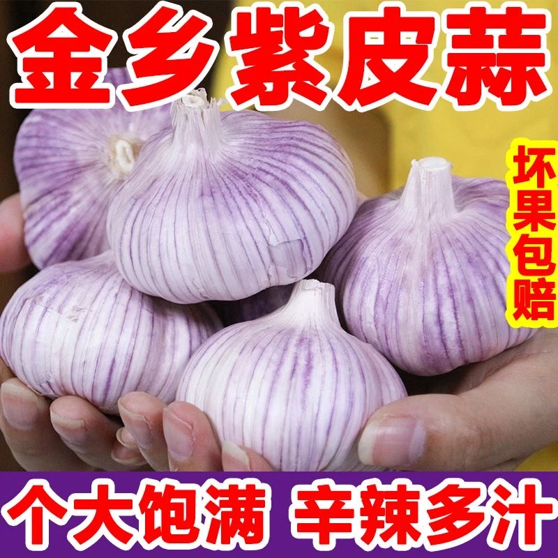 农家自种新干蒜大蒜头1斤1.5斤新鲜自种自然晾晒斤紫皮白皮蒜包邮