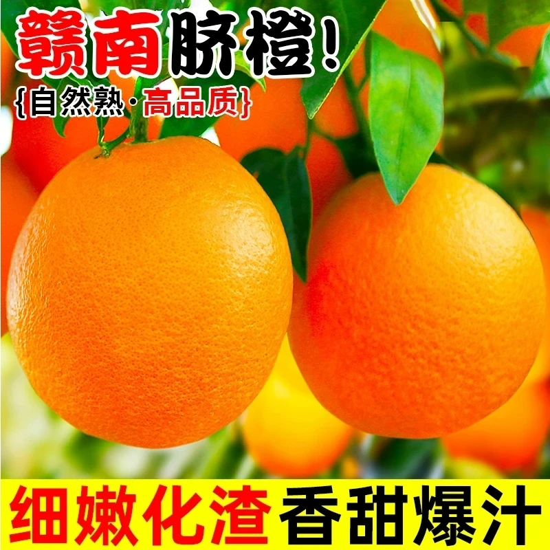 正宗江西赣南脐橙原产地直发新鲜水果香甜多汁皮薄肉厚橙子坏果赔
