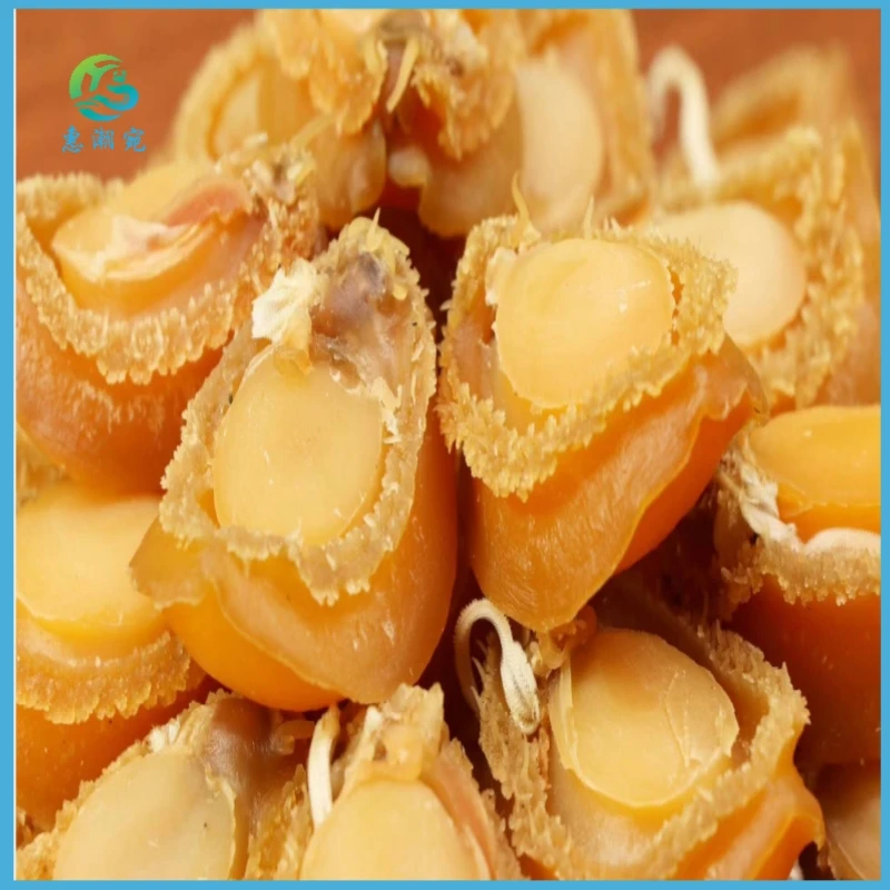 惠潮宛鲍鱼干货大连鲍鱼佛跳墙干货鲍鱼海味干货晾晒500g 40头