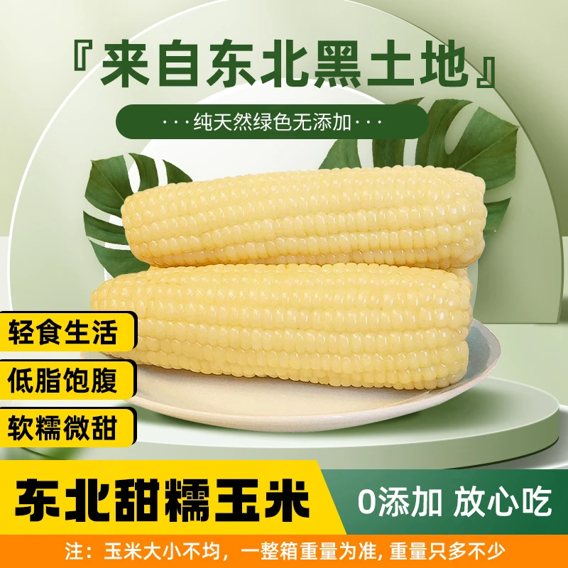 黑龙江农村白糯玉米锁鲜独立包装240g-280g拍2+8到手10整箱5斤