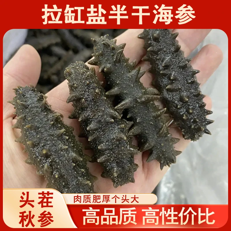 【姐弟推荐】拉缸盐刺参1斤半干海参30-50头/斤深海底播腌渍海参