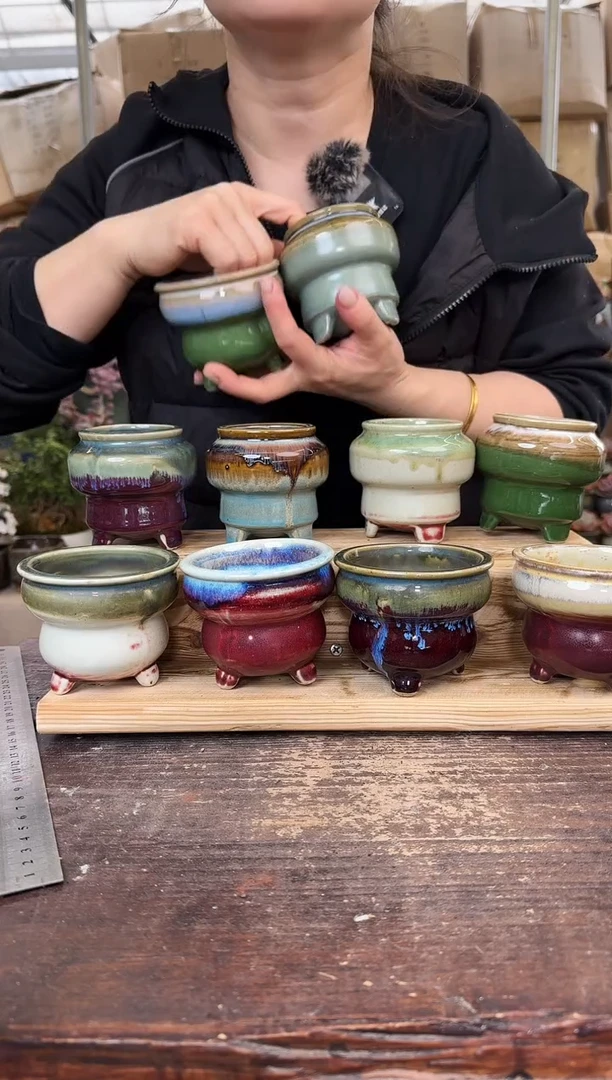 【闪购商品】养乐多火锅10个1组