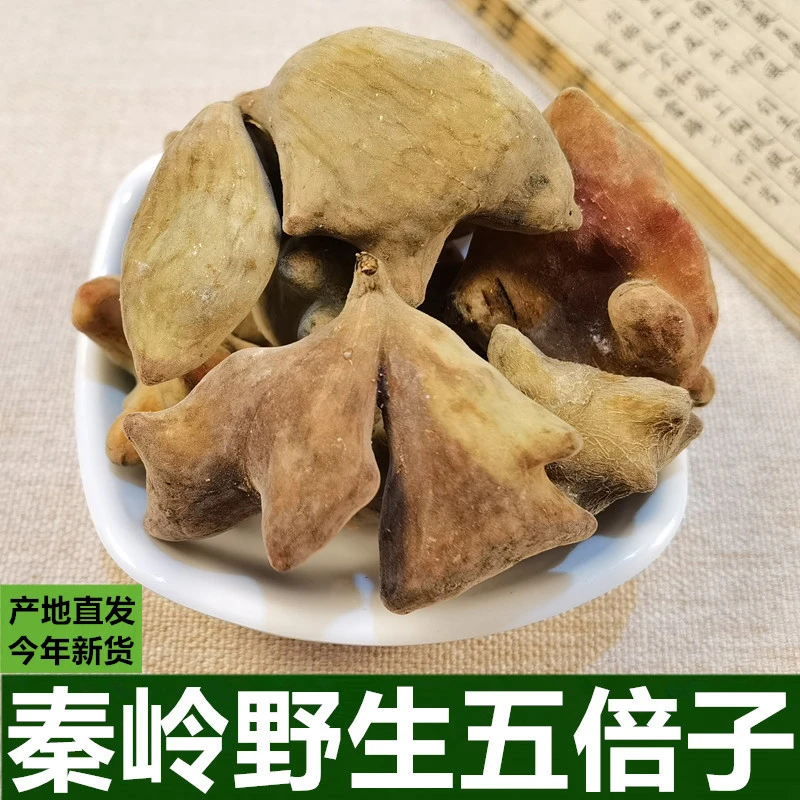 秦岭野生五倍子中药材五倍子陕西野生肚倍百虫仓百药煎肚倍可打粉