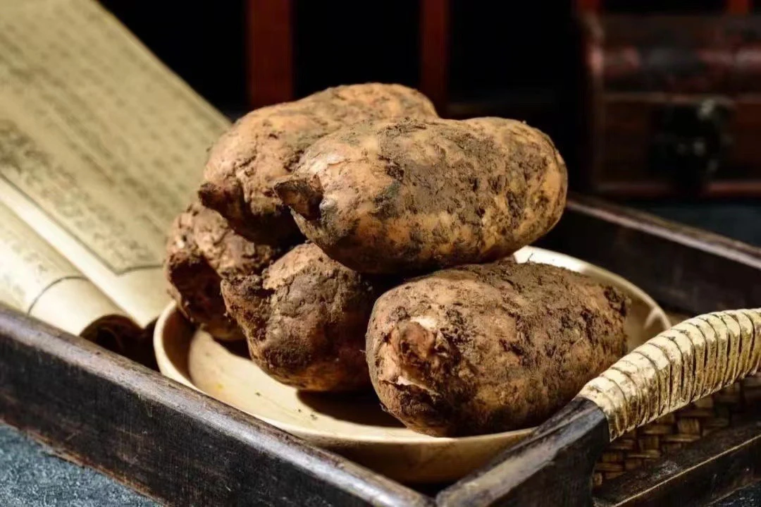 （泽）云南新鲜天马（麻）一斤