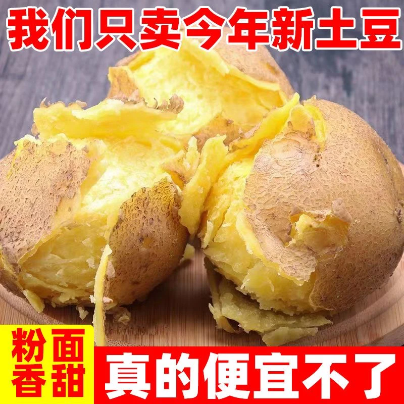 2024新鲜现挖现发土豆黄心粉糯大土豆5斤高山洋芋农家自种马铃薯